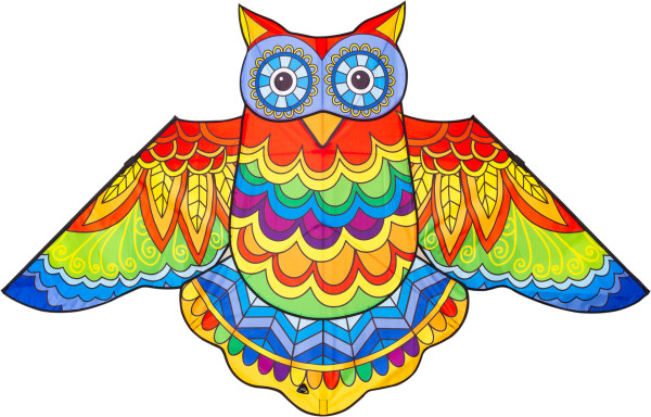 Invento-HQ Jazzy Owl Kite Einleiner (145 x 85 cm) - R2F