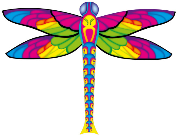 Invento-HQ Dragonfly Kite Kinderdrachen (100 x 76 cm) - R2F