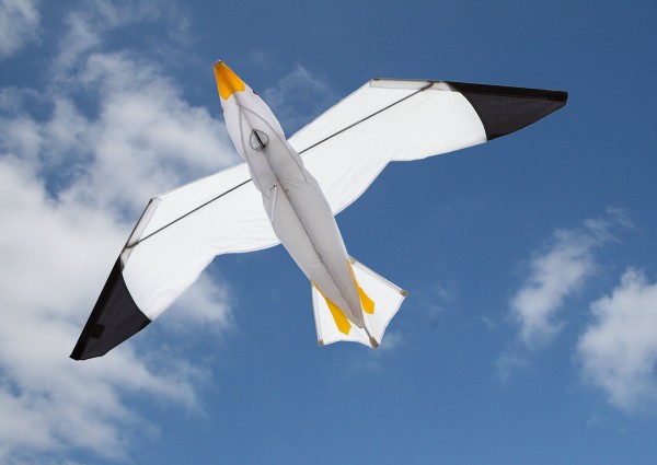 Invento-HQ Einleiner Seagull 3D - R2F (140 x 75 cm)